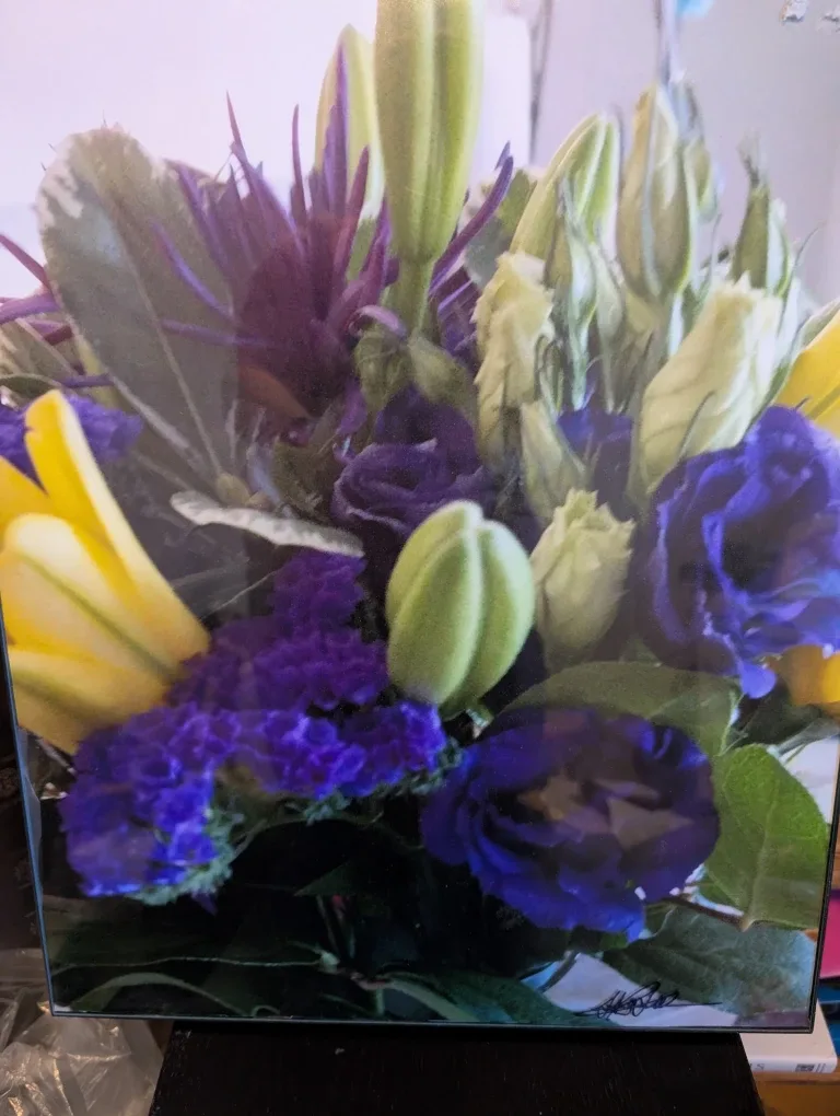 20x16 framed photo print purple and tulips