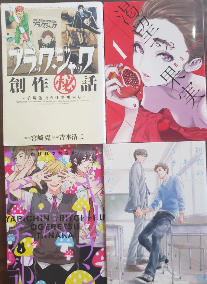 Mixed Lot of Japanese Manga Books - photo 3