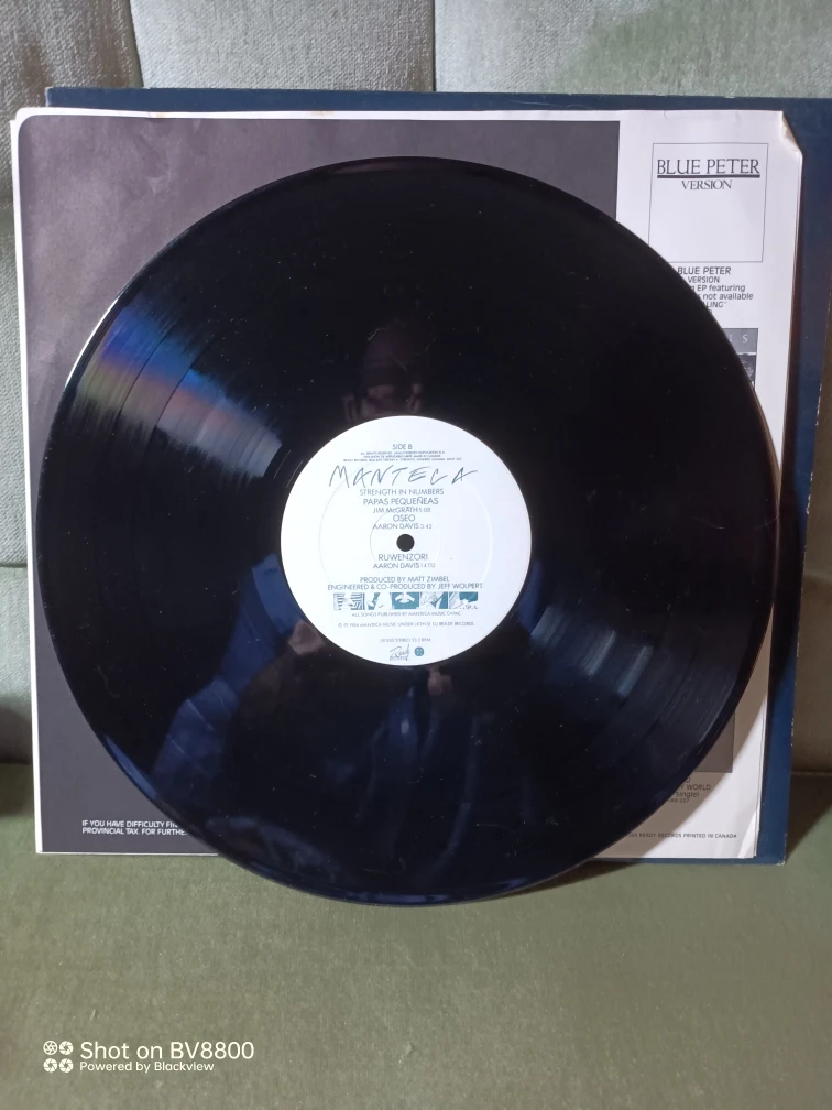 Manteca - Strength In Numbers Vinyl Record - photo 3