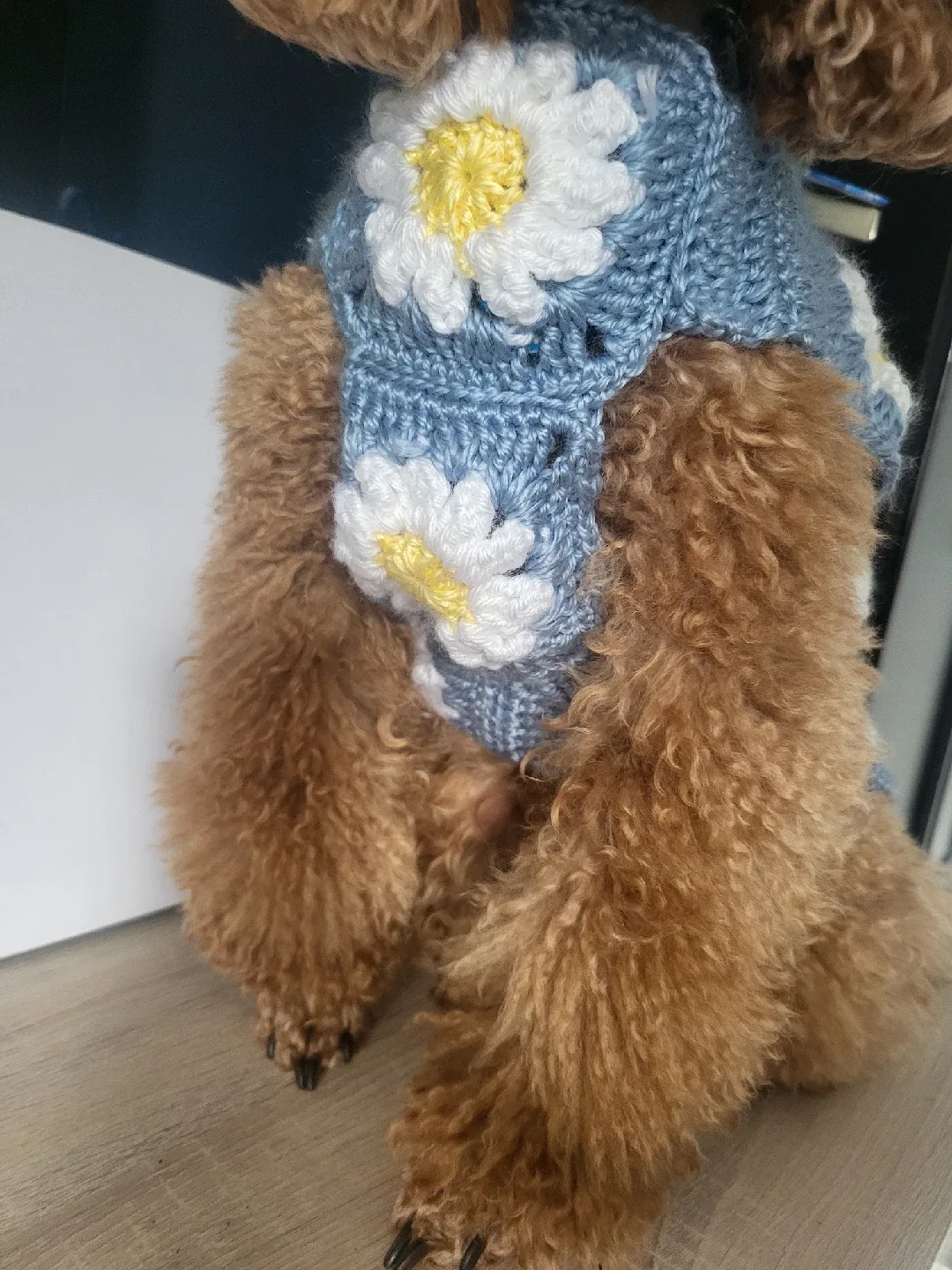 Handmade Crochet Dog Sweater - Blue with Daisies image indicator(3)