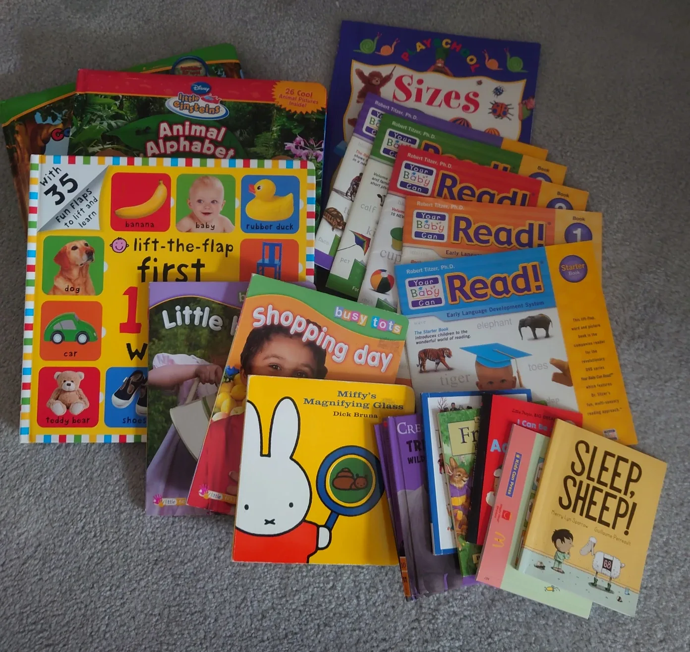 Kids' Books Bundle - Lift-the-Flap, Early Learning
