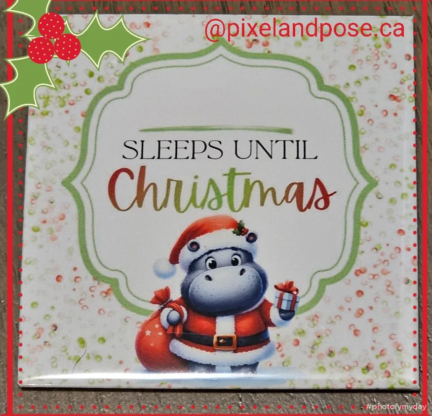 Photo Magnets 3x3 image indicator(4)