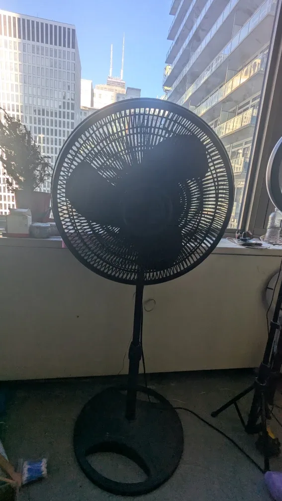 Black Standing Fan