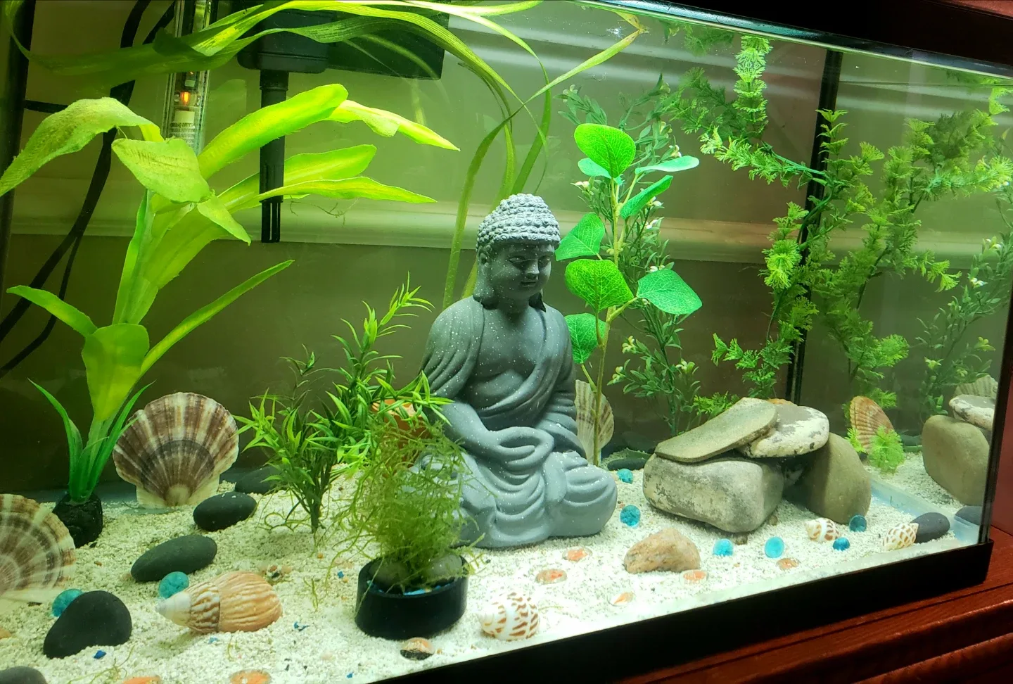 Aquarium 40 Gallon EVERYTHING IS INCLUDED image indicator(2)