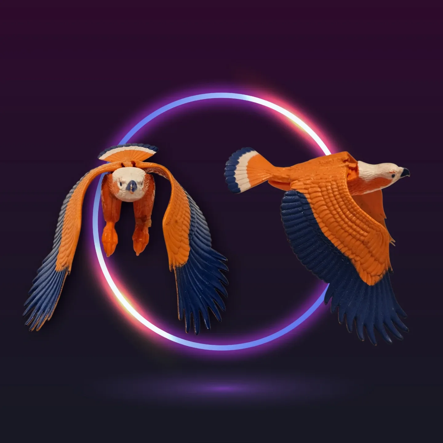 ZOAR : MASTERS OF THE UNIVERSE