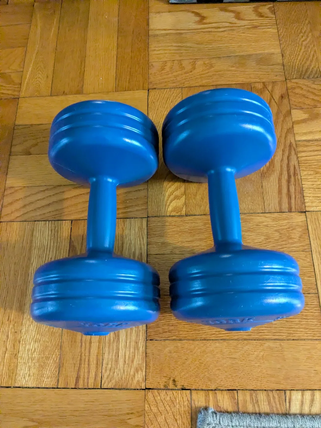 York 11 lb Dumbbell Set - Blue 🥕 image indicator(2)