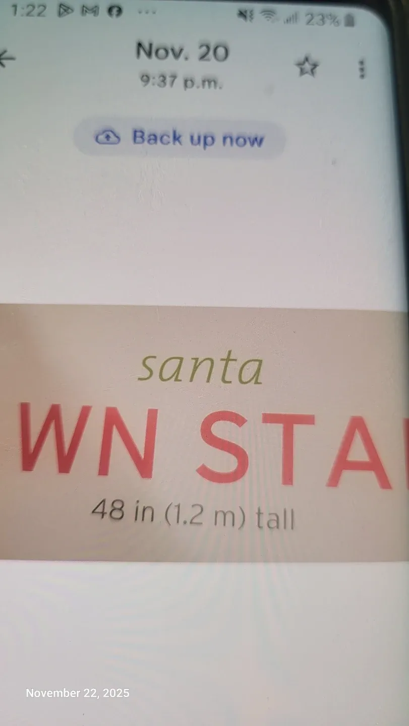 Santa Lawn Stake - 48 inch tall image indicator(3)