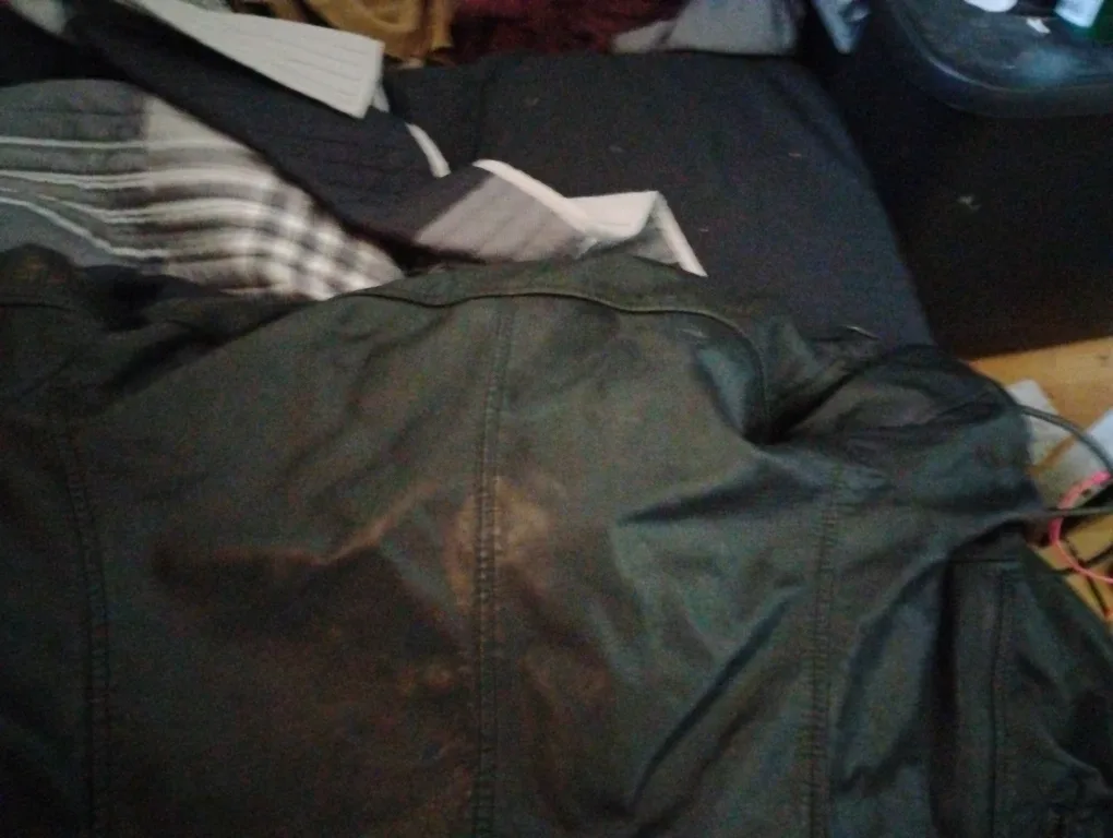 Danier Leather Jacket image indicator(2)