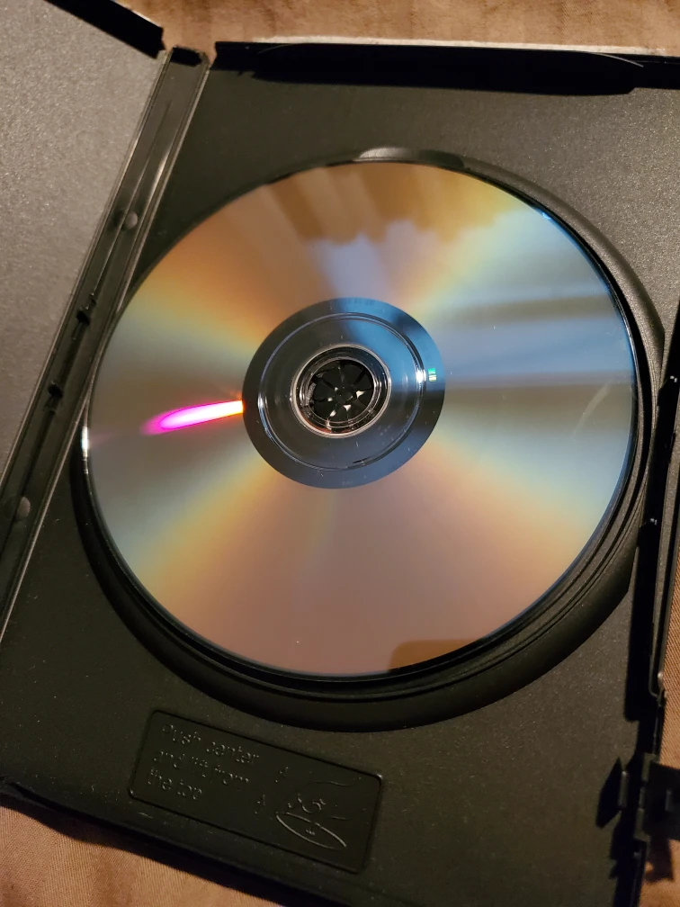 Last Holiday DVD (Staring Queen Latifah & LL Cool J) - photo 4