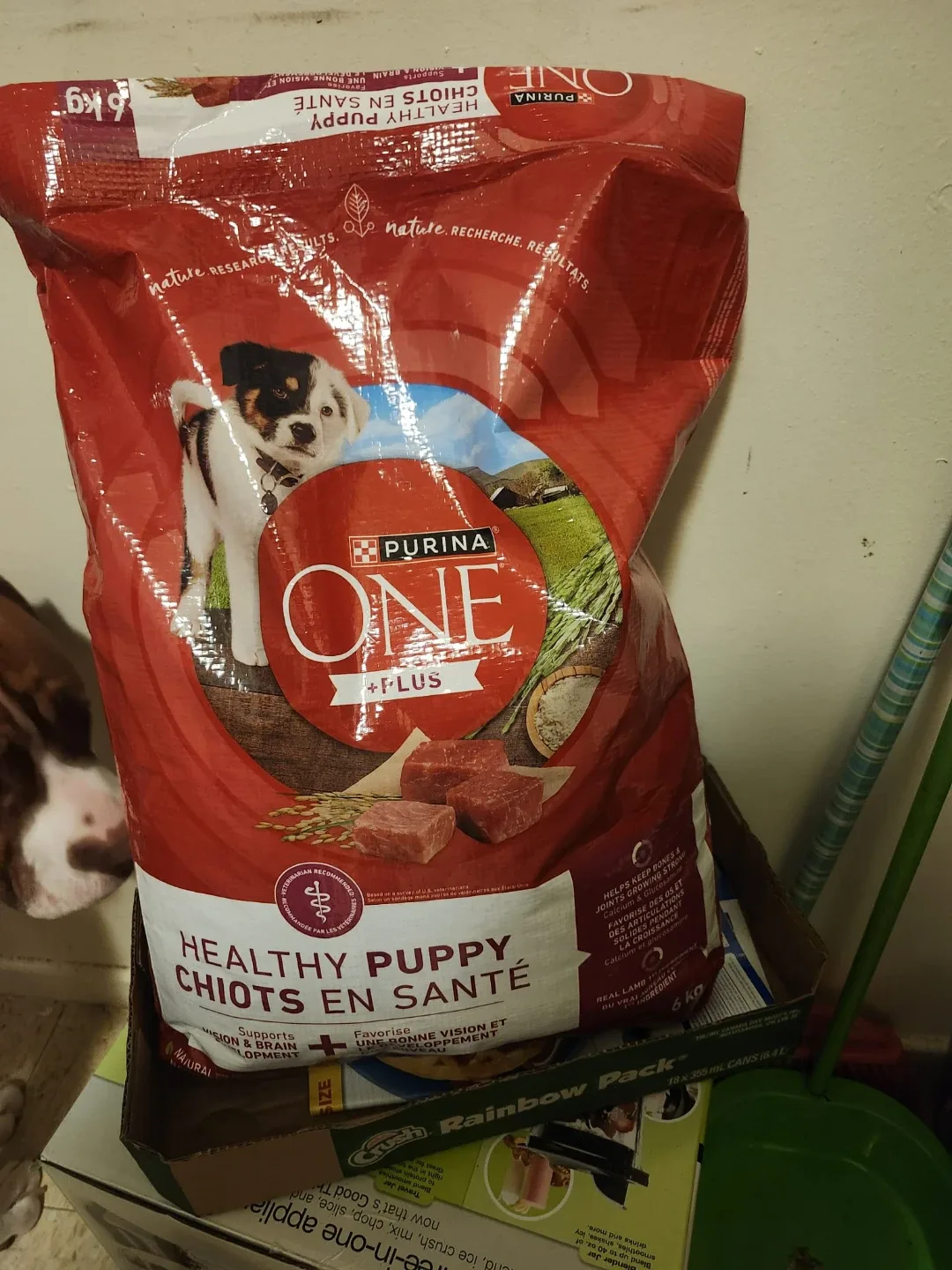 Purina ONE Healthy Puppy Food - 6kg Bag