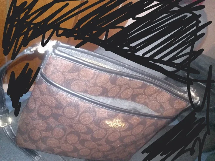 Coach Brown Crossbody Bag image indicator(2)