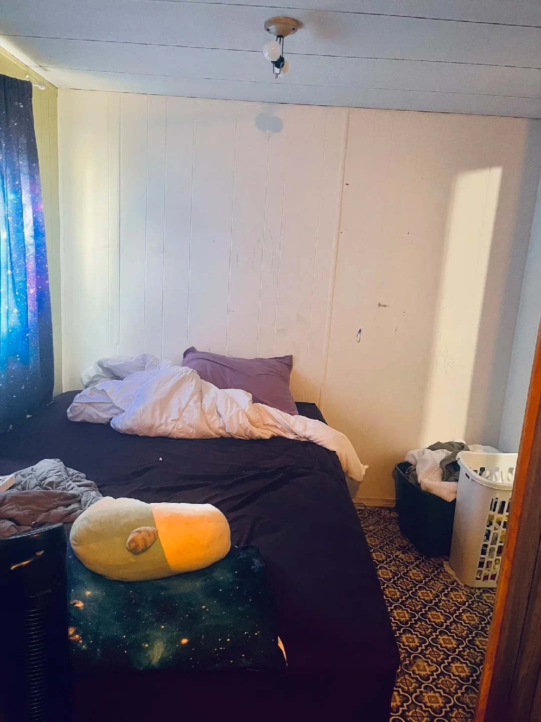 MOBILE HOME FIXER UPPER (WILLIAMS LAKE) image indicator(9)