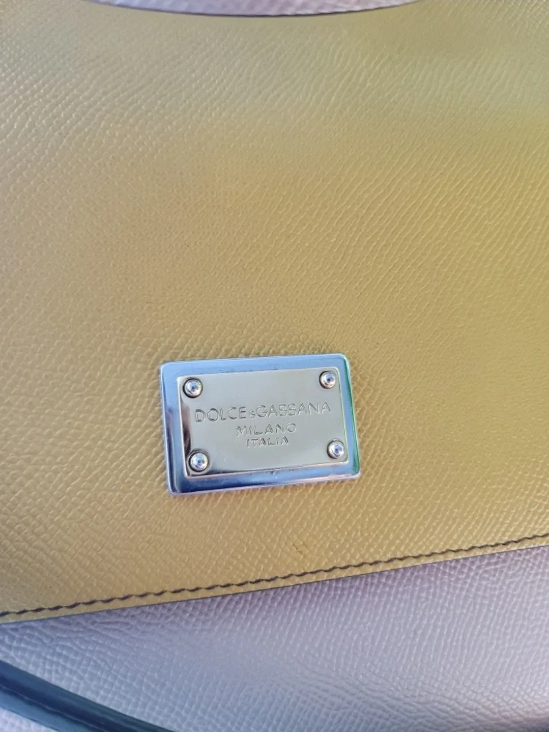 🥕 Dolce & Gabbana Multicolor Leather Handbag image indicator(2)