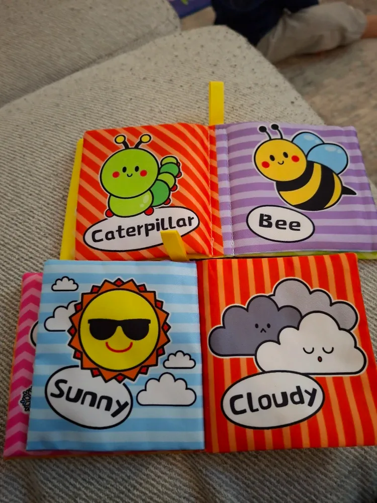 Soft Baby Books - Weather & Insects image indicator(2)