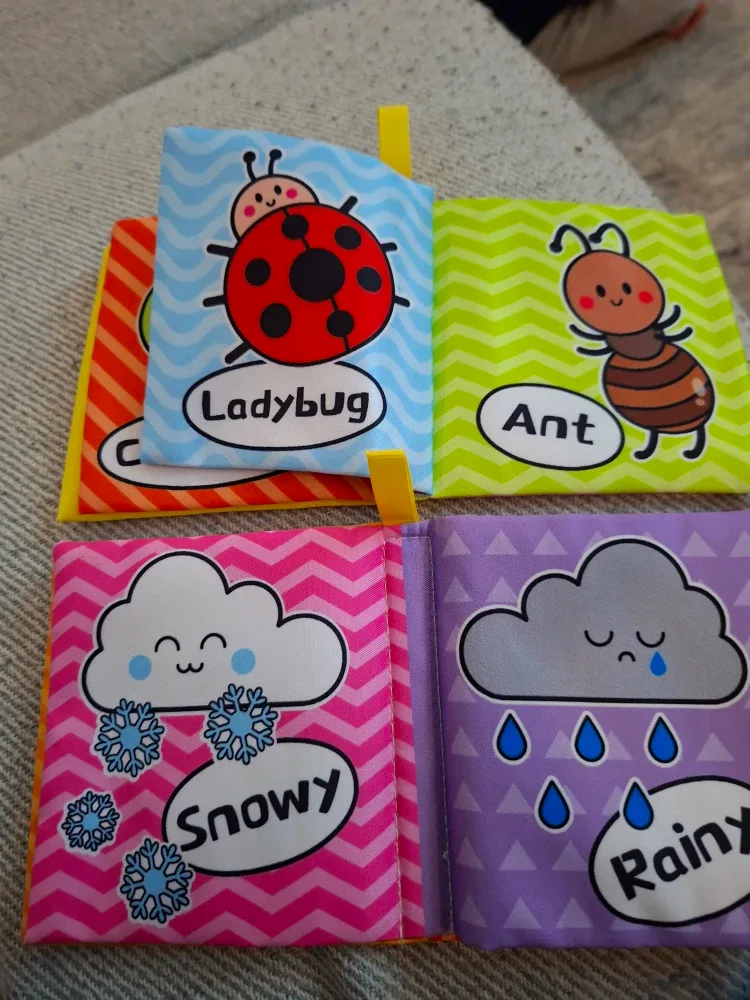 Soft Baby Books - Weather & Insects image indicator(3)