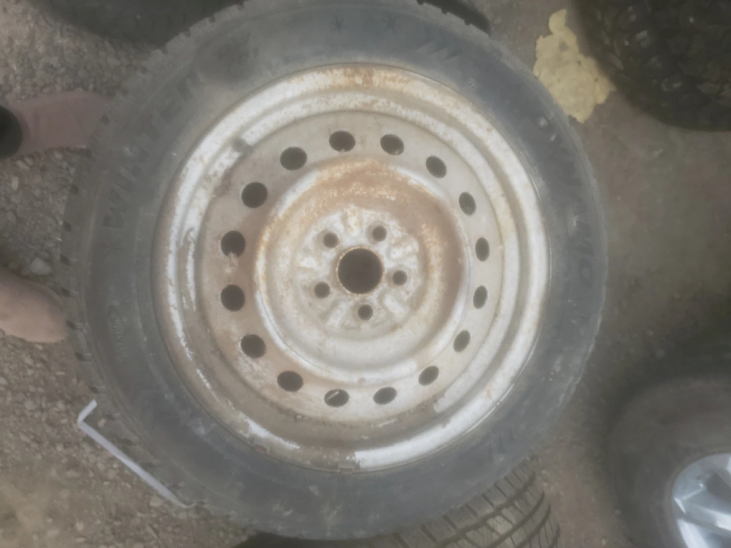 Dynamo DW 701 Winter Tires