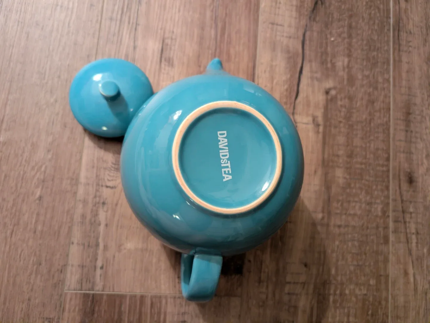 DAVIDsTEA Turquoise Teapot image indicator(3)