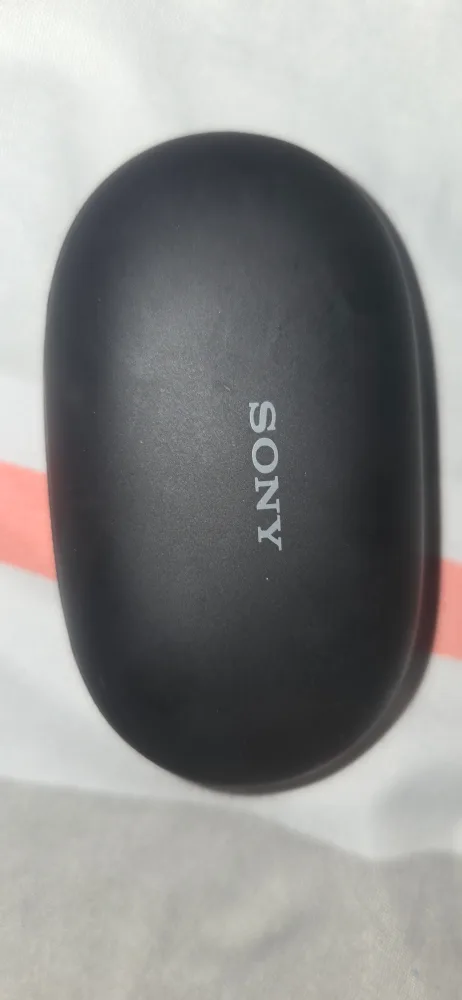 Sony WF-C500 Wireless Earbuds - Black