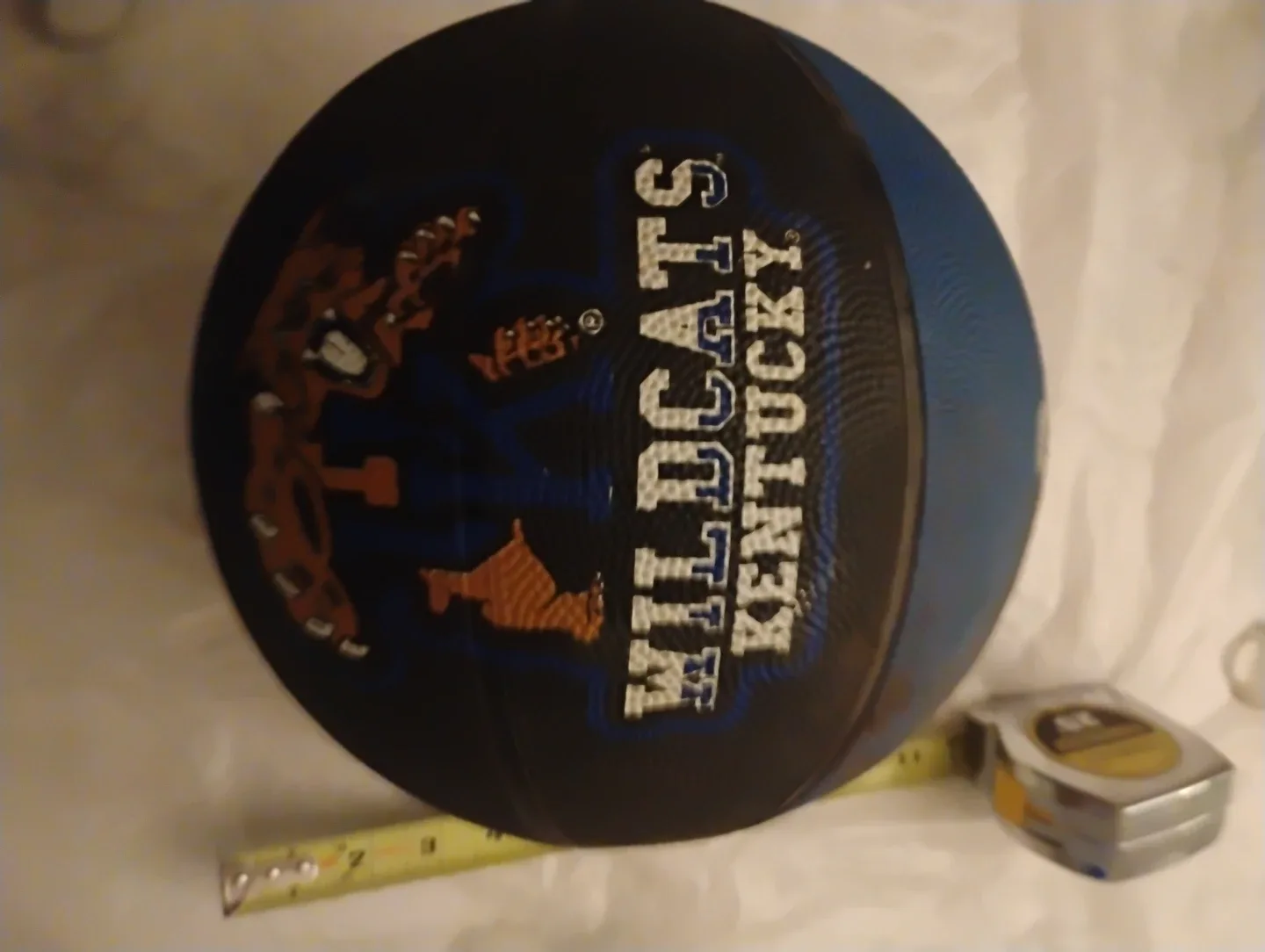 Kentucky Wildcats Basketball image indicator(2)