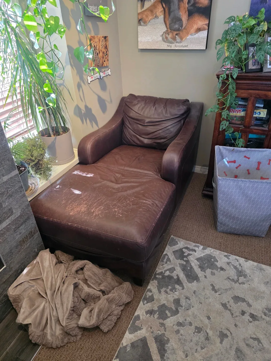 Brown Leather Chaise Lounge