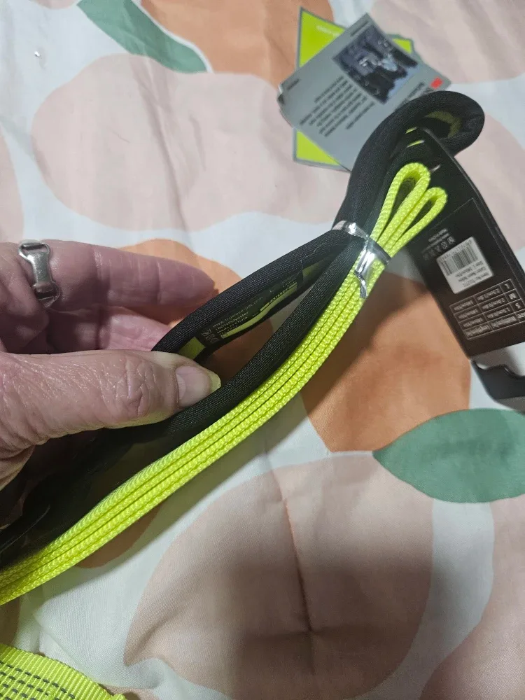 Truelove Reflective Dog Leash - New