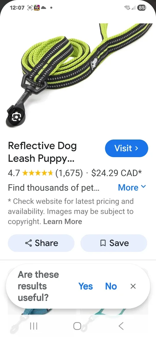 Truelove Reflective Dog Leash - New image indicator(5)