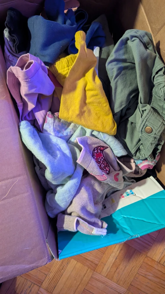 Box of Children's GIRLS Clothing size 2T