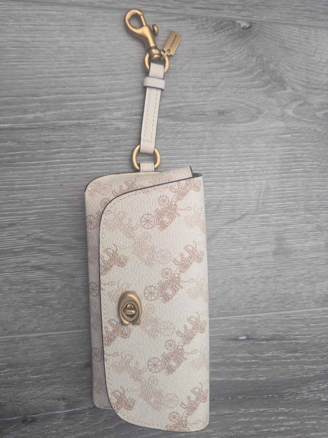 Coach Horse & Carriage Print Card/Glasses Case