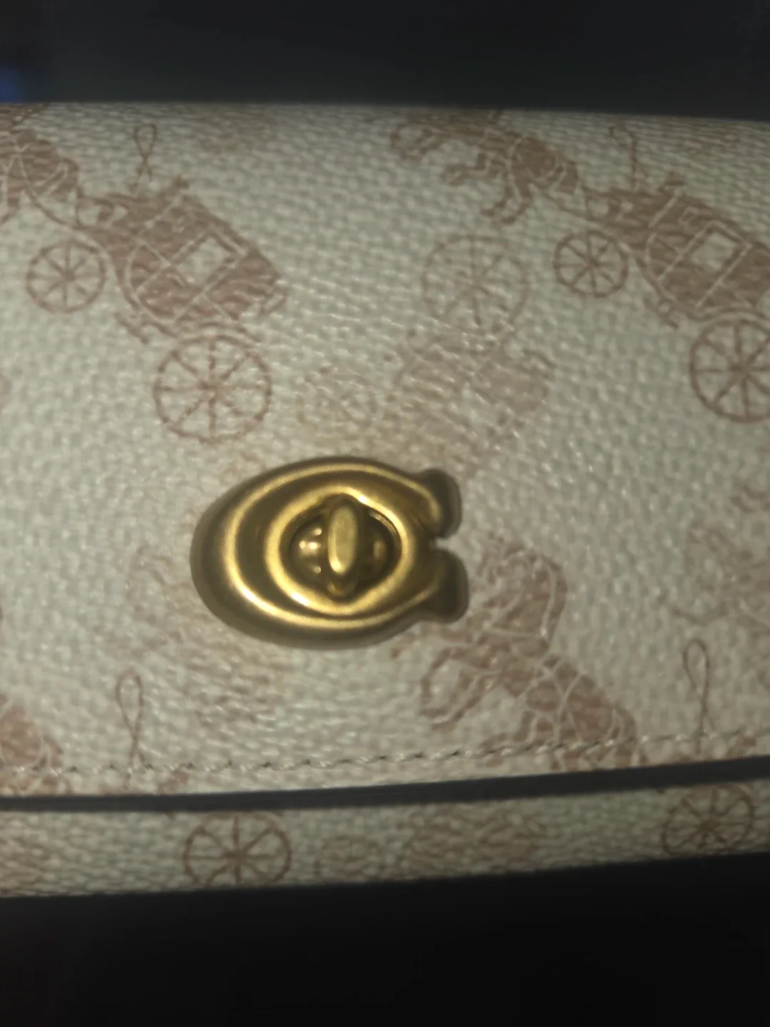 Coach Horse & Carriage Print Card/Glasses Case image indicator(2)