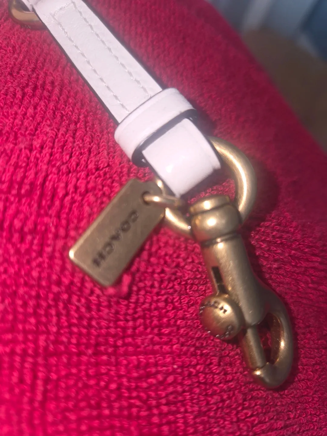 Coach Horse & Carriage Print Card/Glasses Case image indicator(3)