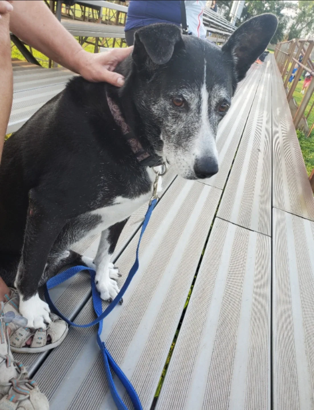 $30.00 / Night Boarding - We are here, and always will be.... ♾️ image indicator(8)