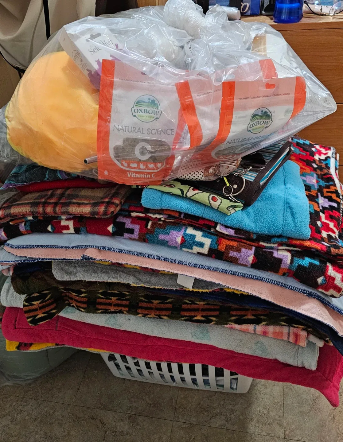 Guinea Pig Supplies bundle