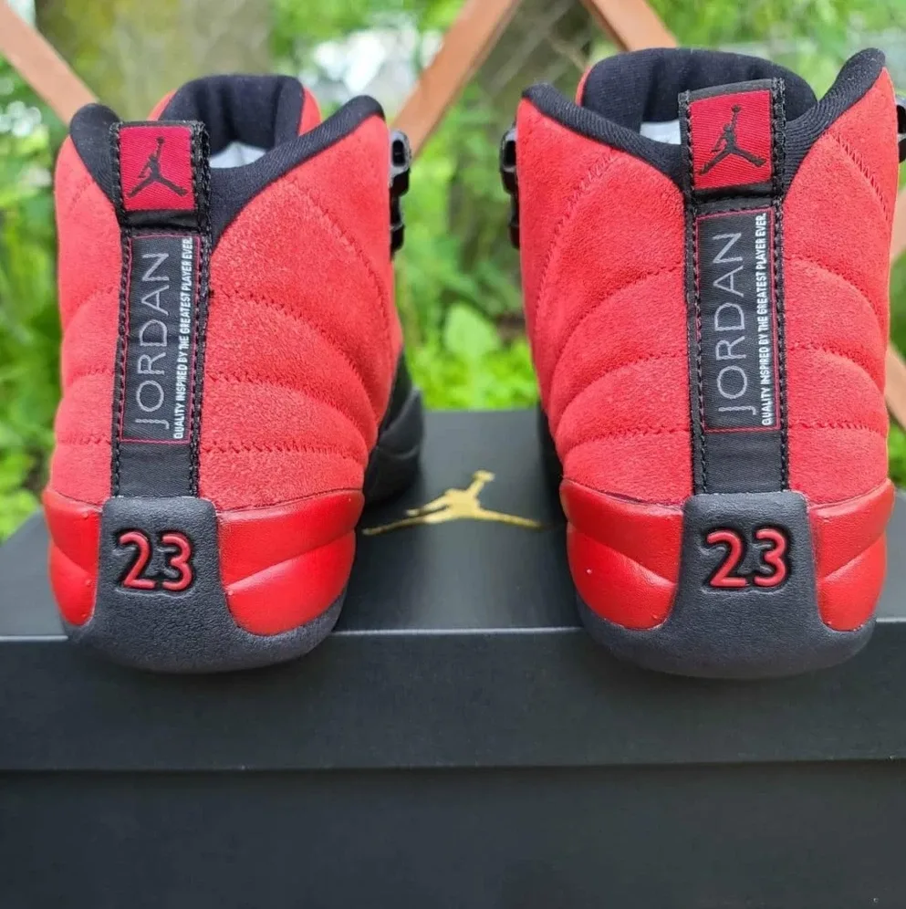 Air Jordan 12 Reverse Flu Games image indicator(3)