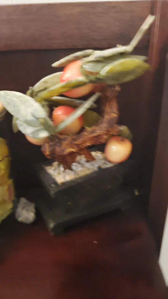 Decorative Jade Tree with orange fruit - photo 4
