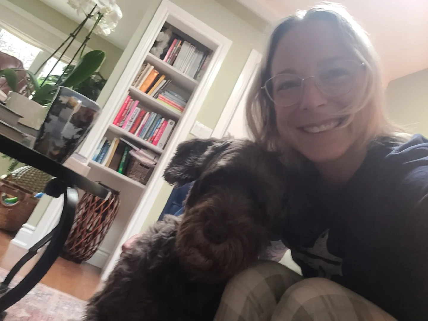 Pet sitting/ dog walking image indicator(9)