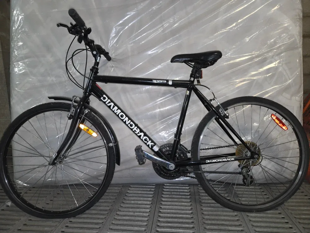 Diamondback Transporter Bike