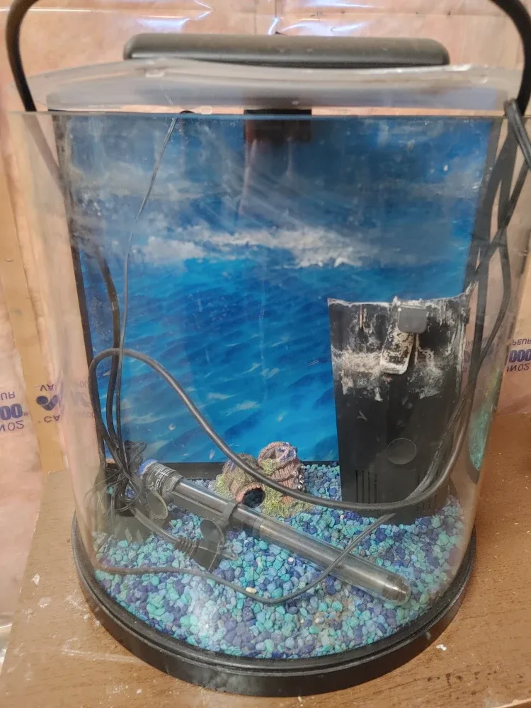 Fish Tank with Accessories image indicator(2)