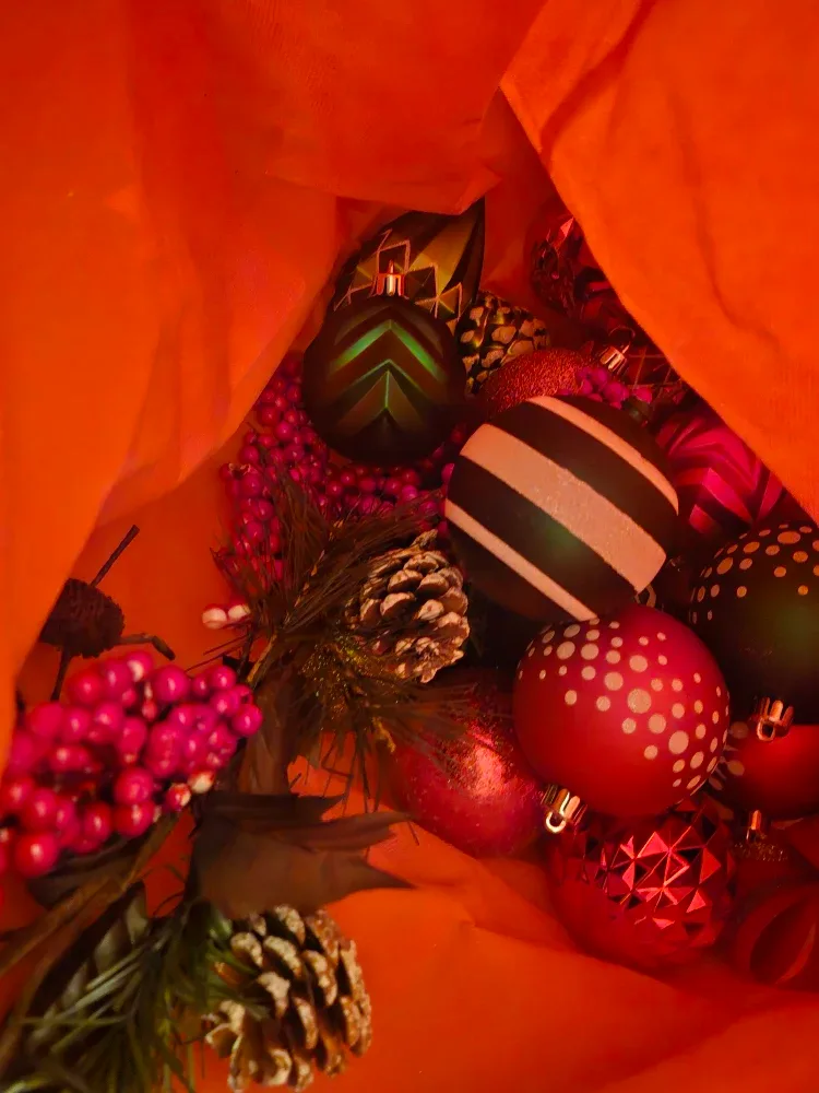 Christmas Ornaments & Pine Cones