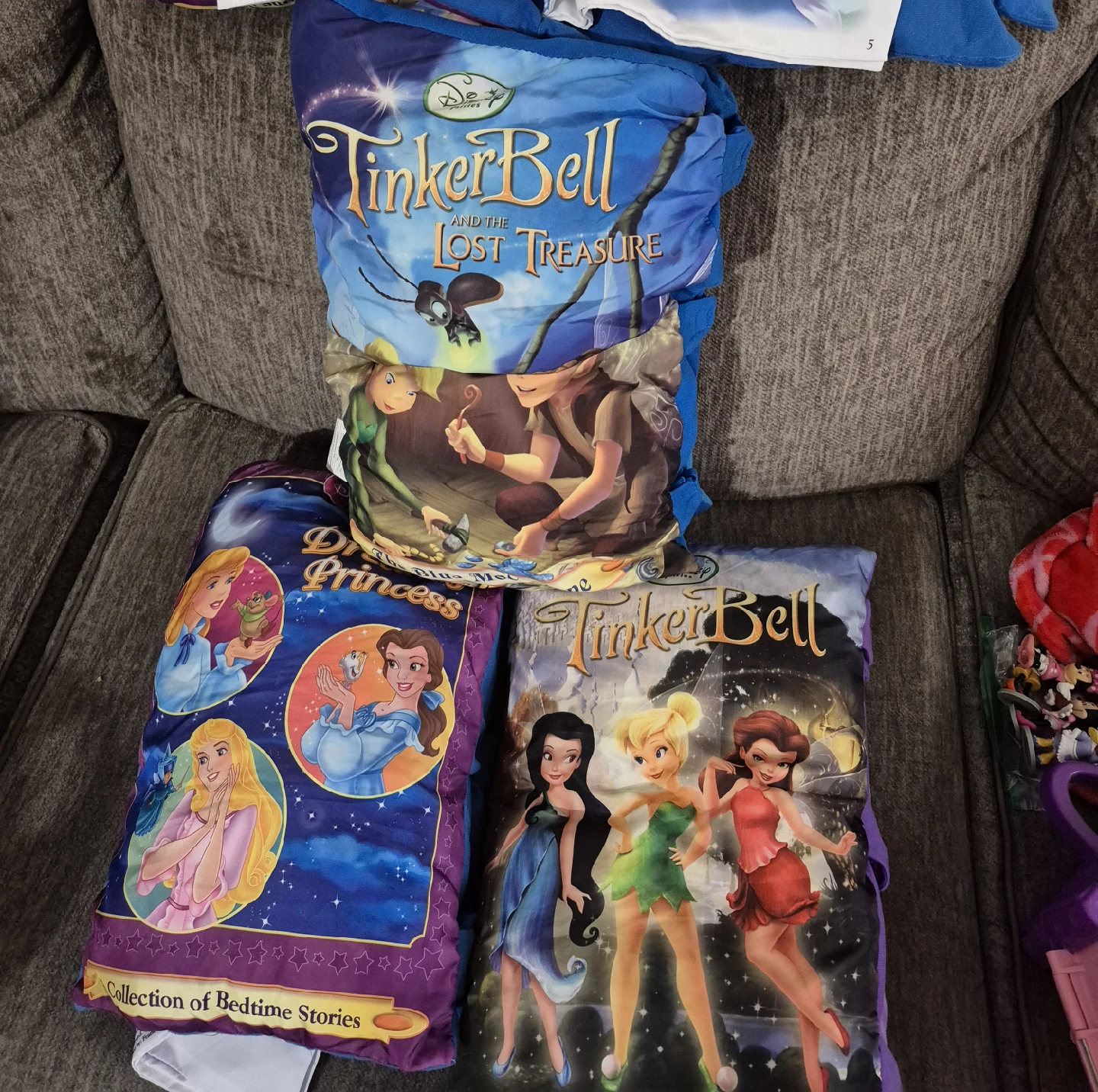 Disney Princess & Tinkerbell Pillowcase books.