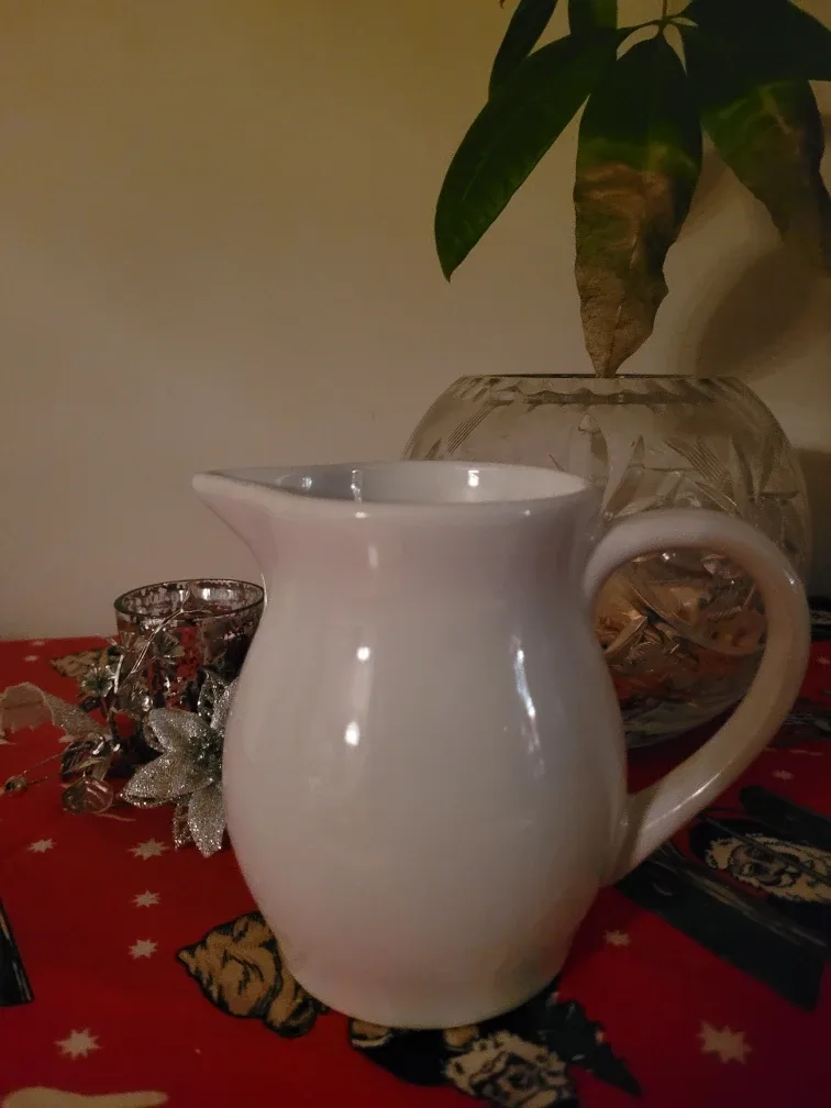 IKEA White Pitcher🥕 freecylle