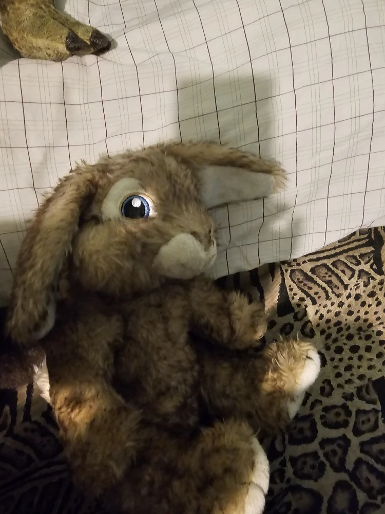 14" tall bunny