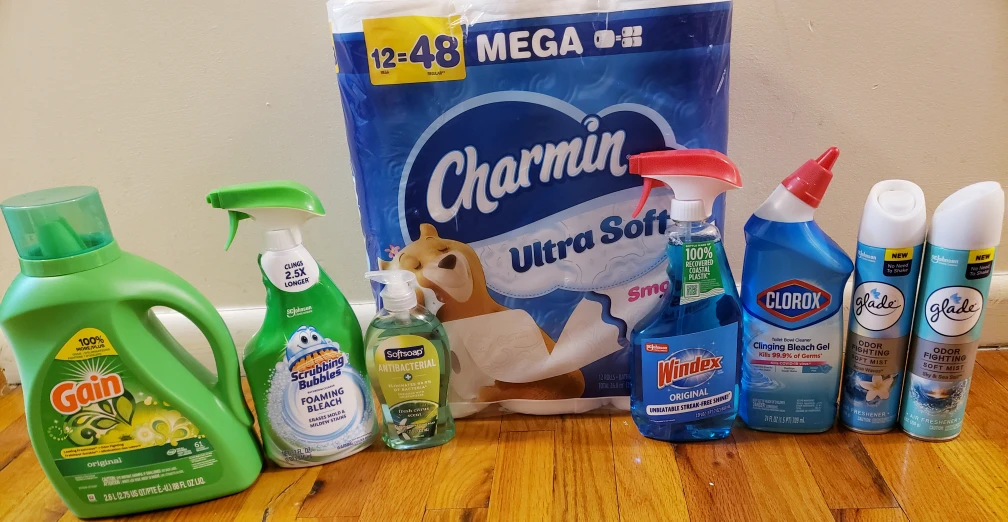 Cleaning Supplies Bundle: Gain, Charmin, Windex