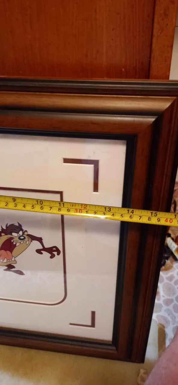 Framed Taz Mini Animation lithograph Art image indicator(4)