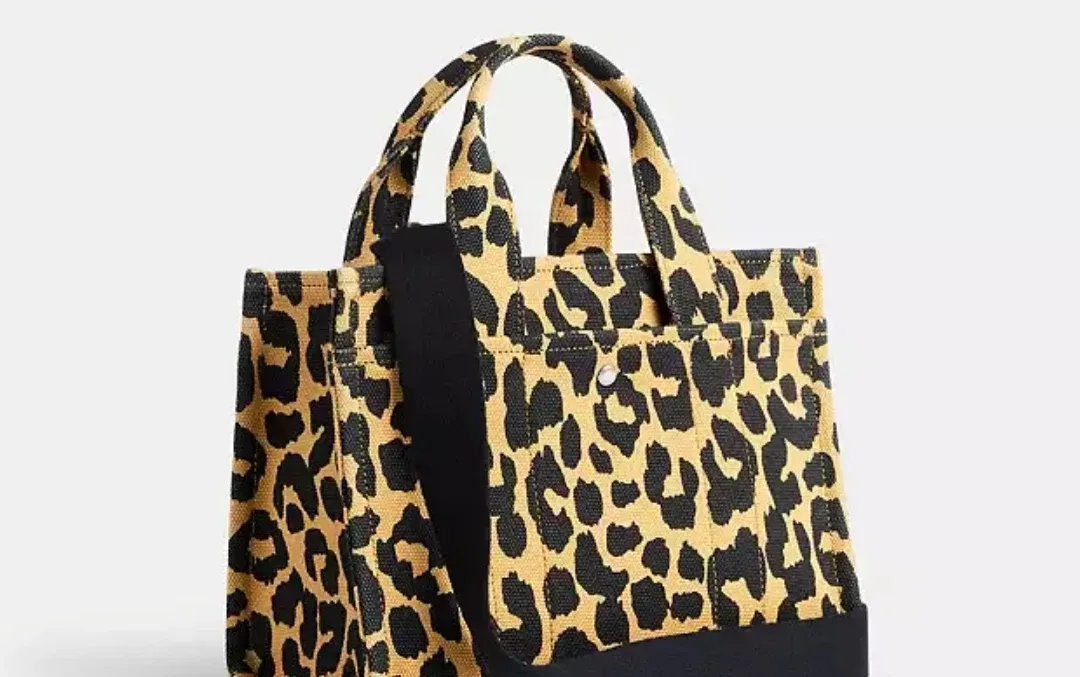 Coach Leopard Print Canvas Tote 26 image indicator(6)