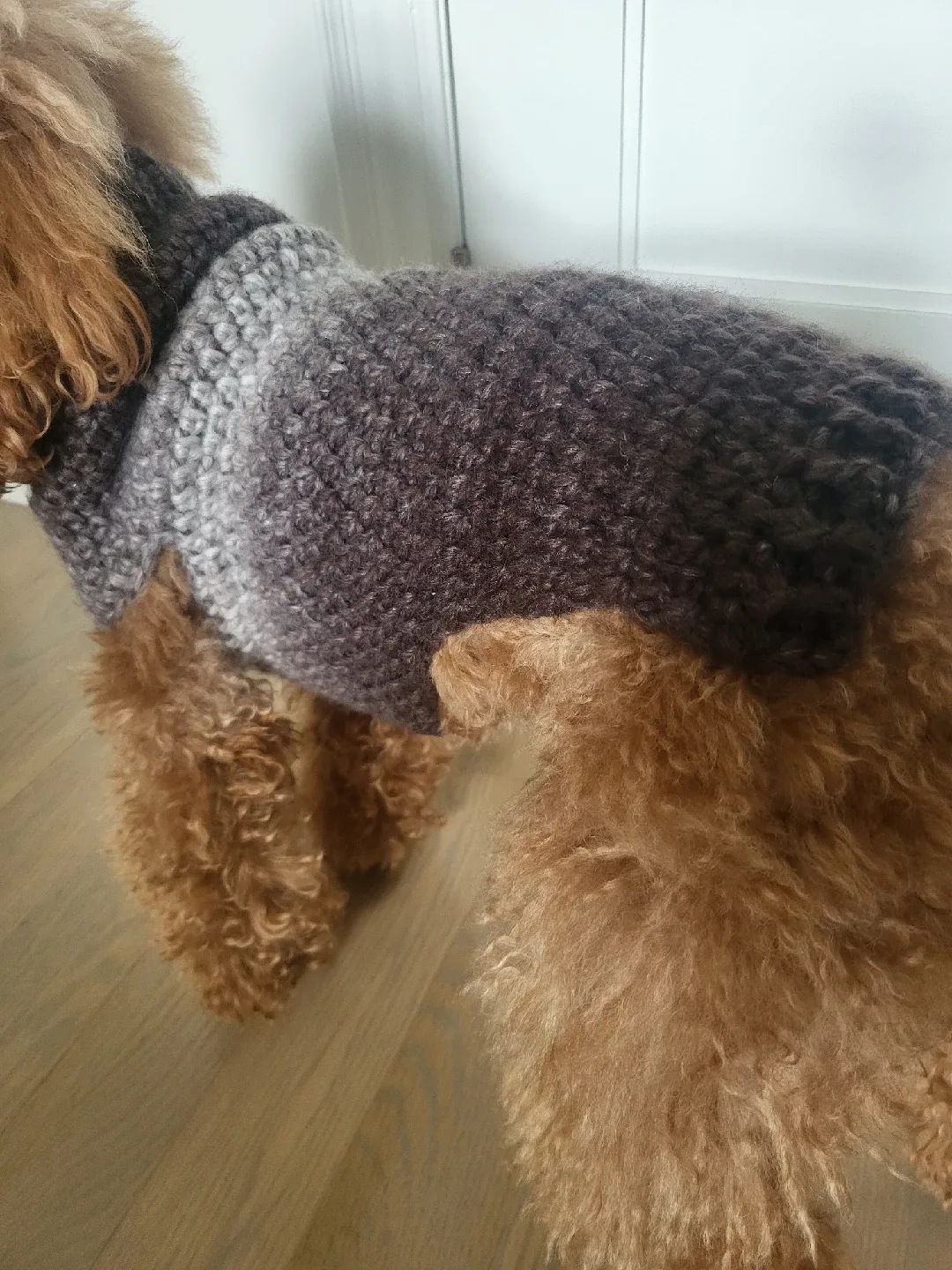 Handmade Dog Sweater thumbnail