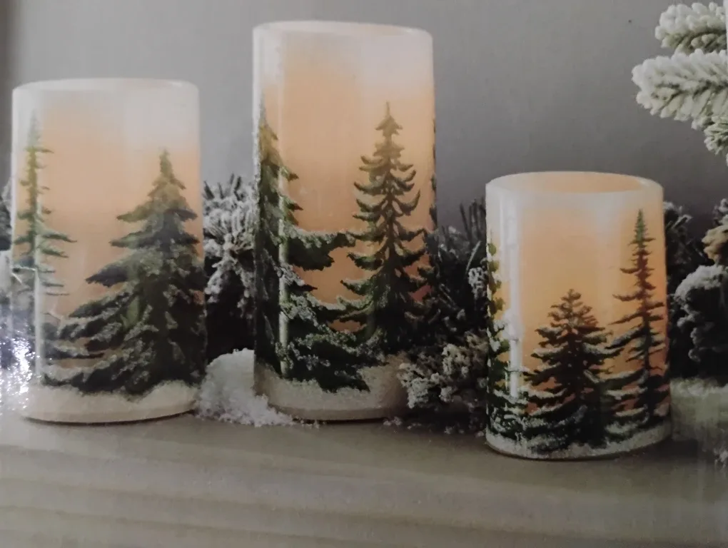 CANVAS Battery-Operated Winter Candle Set image indicator(2)