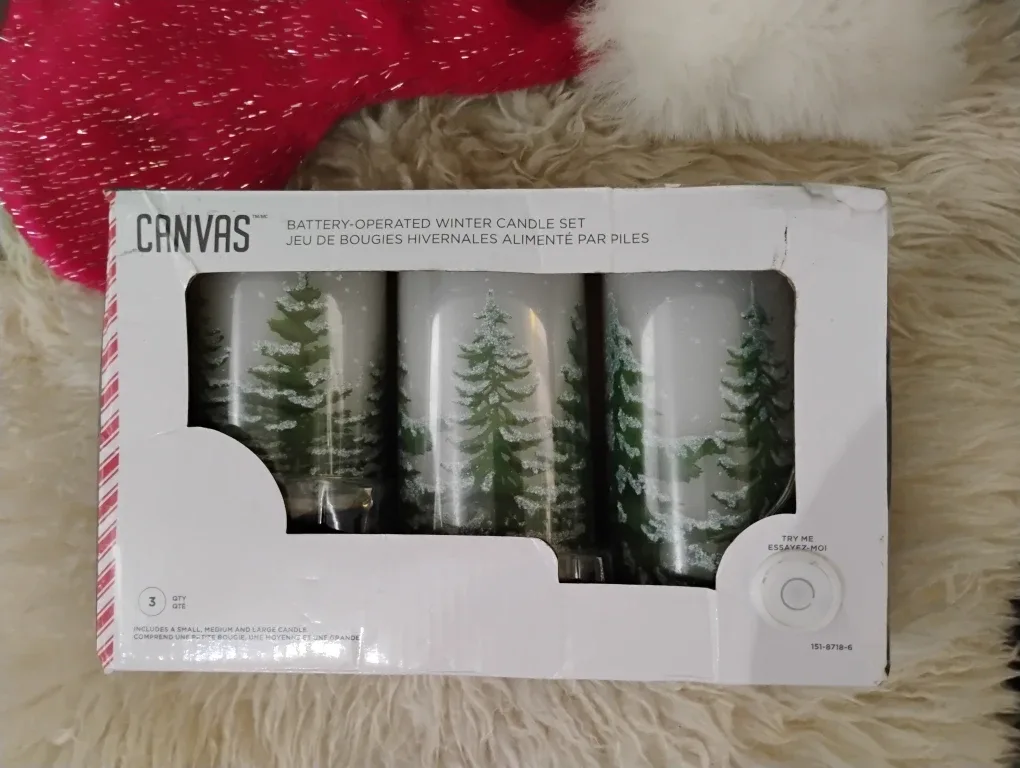 CANVAS Battery-Operated Winter Candle Set image indicator(3)