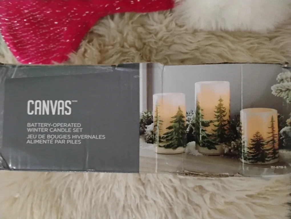 CANVAS Battery-Operated Winter Candle Set image indicator(4)