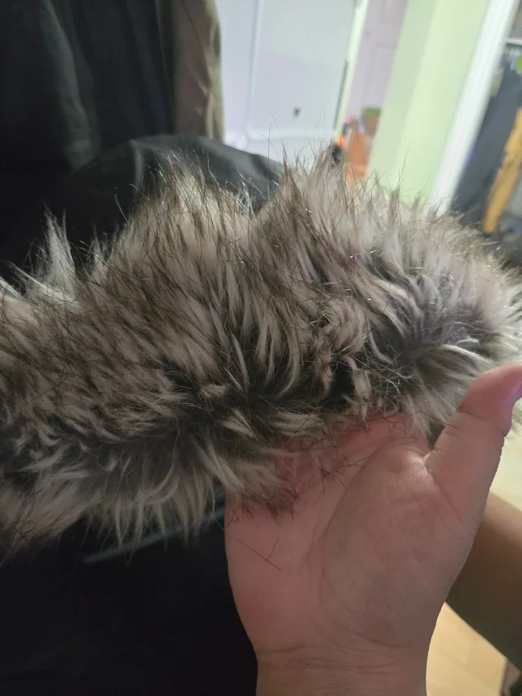 The North Face Women's Parka, Size L image indicator(3)