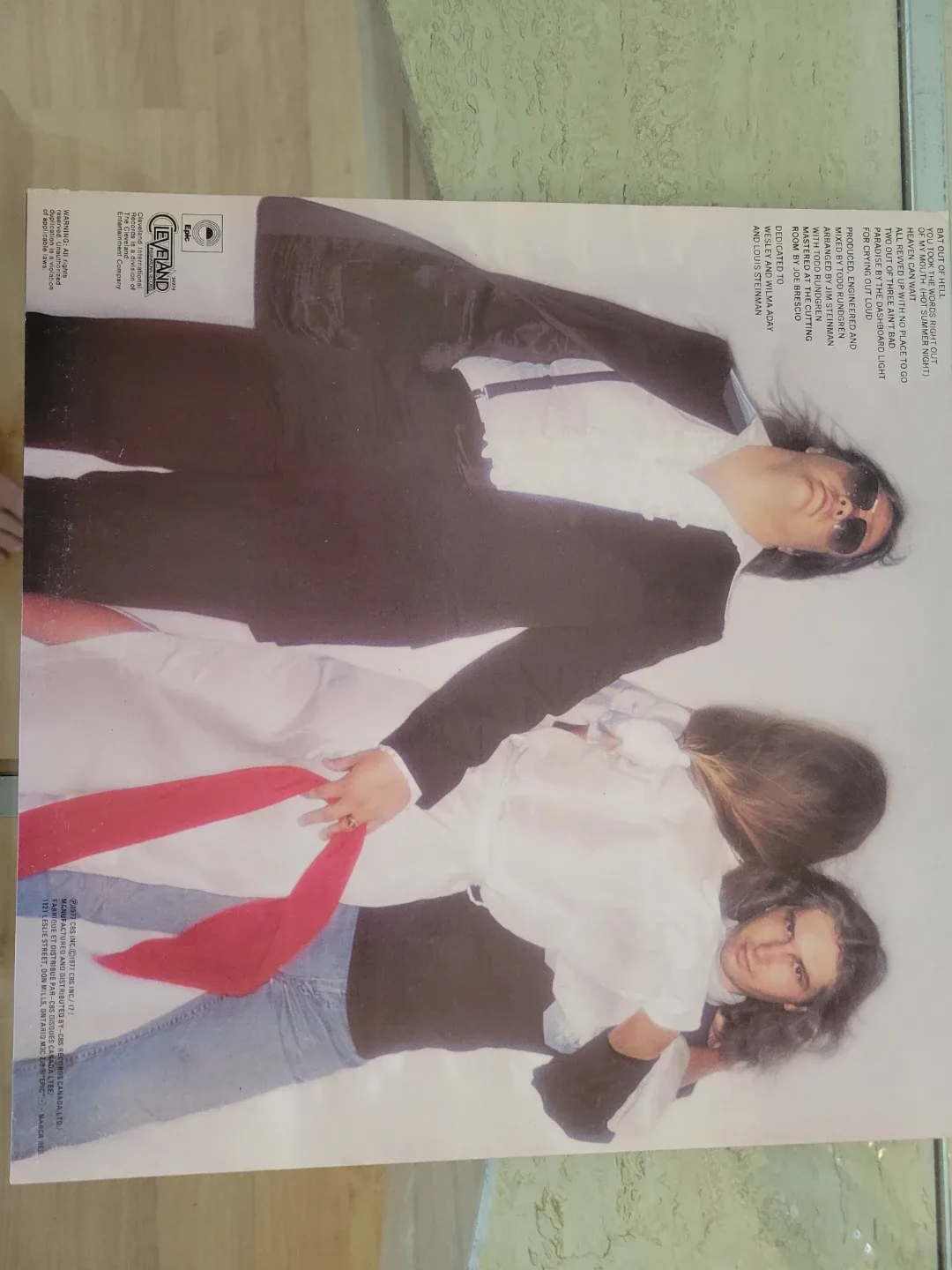 Meat Loaf - Bat Out of Hell Vinyl Record image indicator(2)